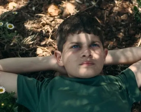 Israeli Minister of Culture Threatens Eliminate National Film Awards Following Palestinian Story Movie Wins Top Prize