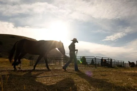 Discover the American Cowgirls Reshaping Contemporary Ranch Life