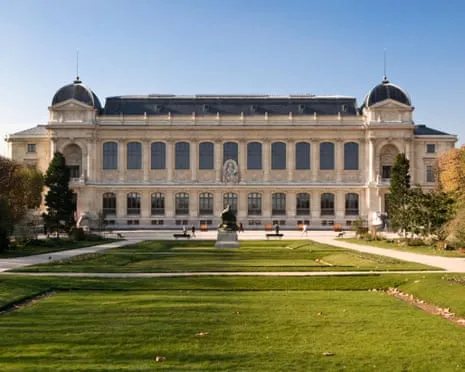 Historic Golden Specimens Snatched in Daring Robbery at France's Natural History Institution